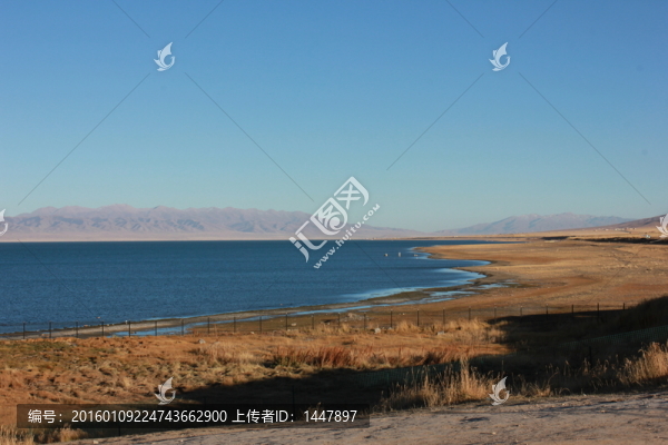 青海湖