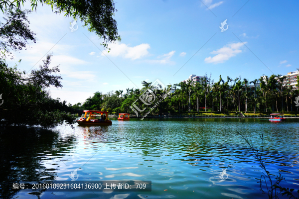 公園園林風(fēng)景