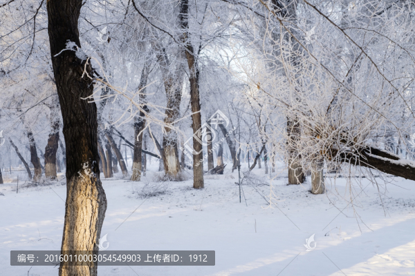 冬雪