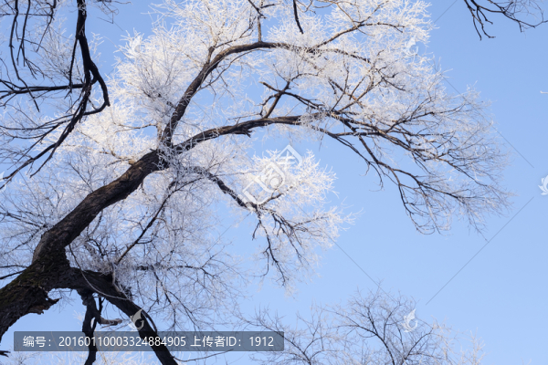 雪淞