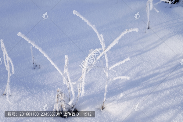 冬雪