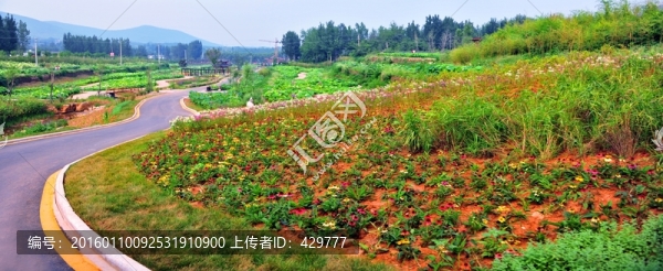 公園風景,旅游景區(qū),園林造景