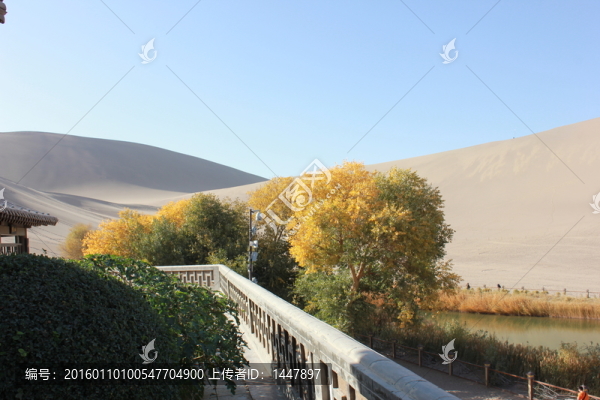 沙漠風(fēng)景