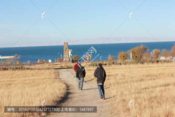 青海湖風(fēng)景