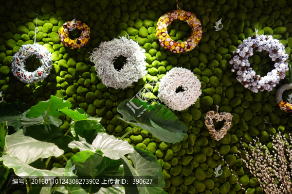 植物文化墻