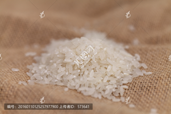 東北大米