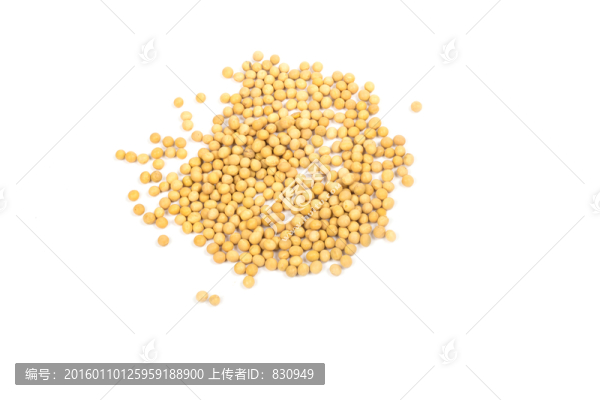 黃豆,大豆