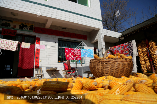 農(nóng)家院