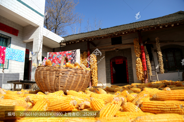 農(nóng)家院