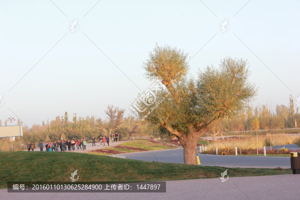 蘭州風(fēng)景