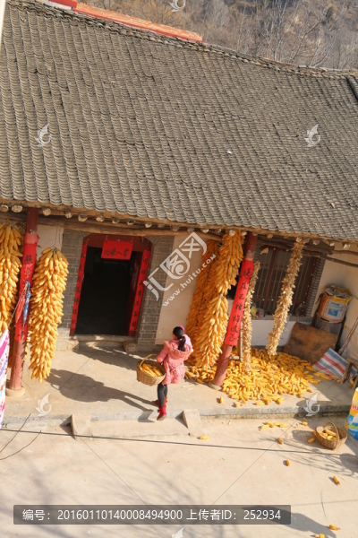 金秋農(nóng)家