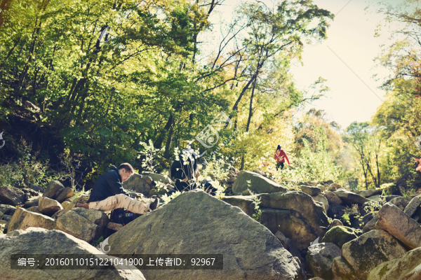 戶外秋景