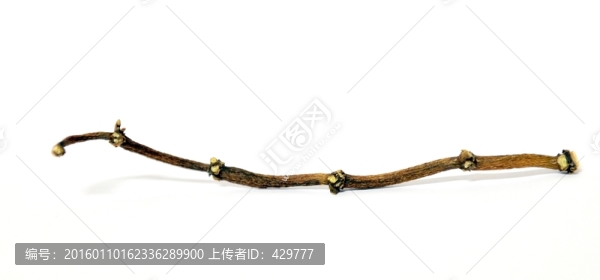 螃蟹腳,,陳年普洱茶