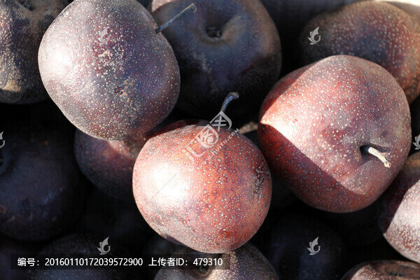 凍梨,東北年味