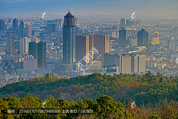 城市