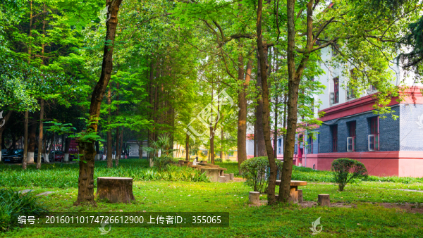 四川大學(xué)