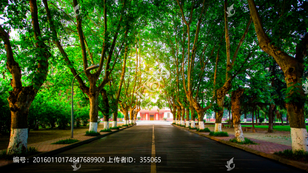 四川大學(xué)