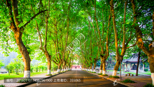 四川大學(xué)