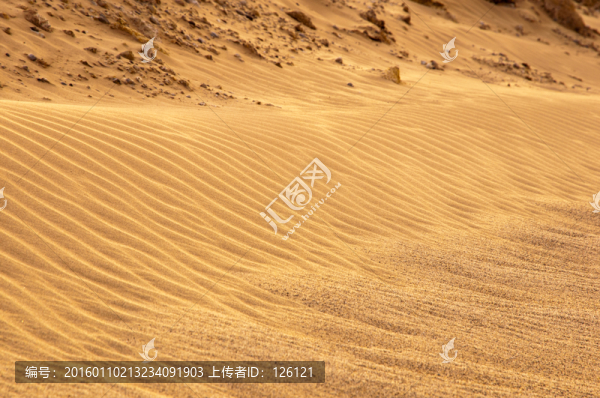 戈壁灘風(fēng)光