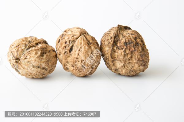 靜物攝影核桃