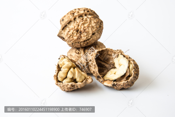 靜物攝影核桃