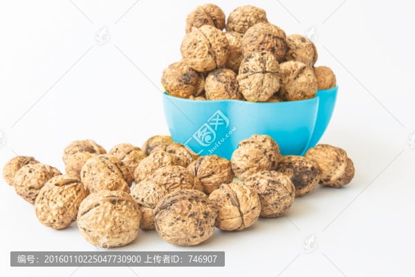 靜物攝影核桃