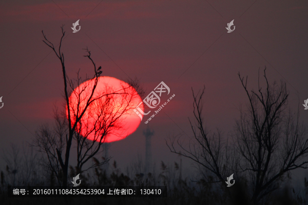 日出