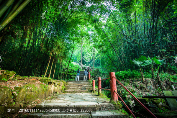 丹景山