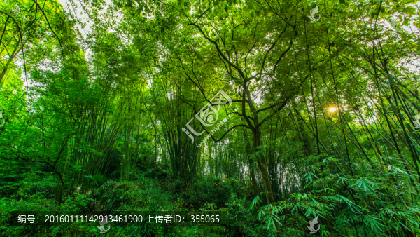 丹景山