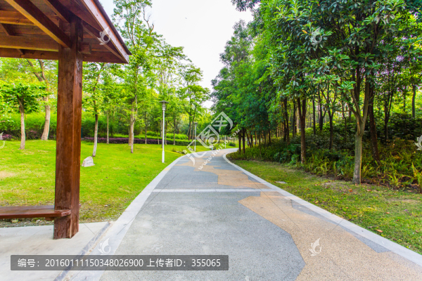 雙流濕地公園