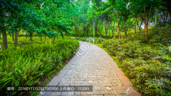 雙流濕地公園