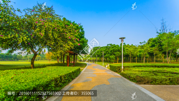 雙流濕地公園