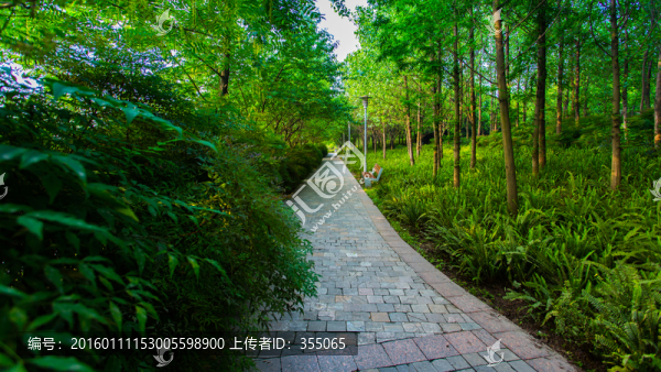 雙流濕地公園