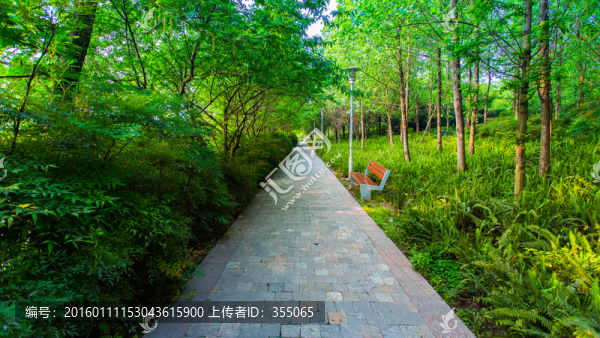 雙流濕地公園