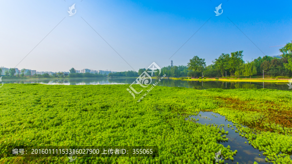 雙流濕地公園