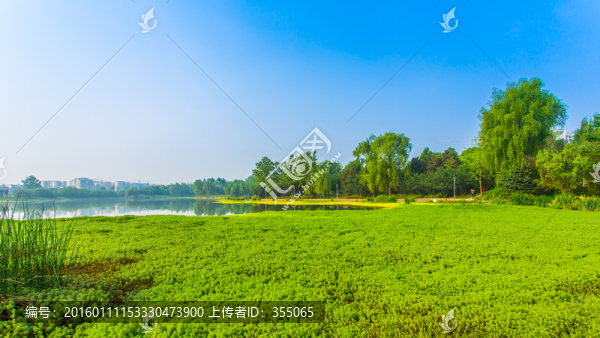 雙流濕地公園