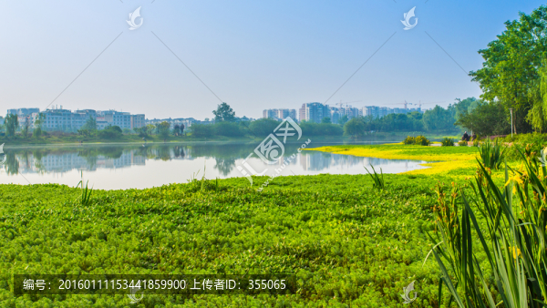 雙流濕地公園