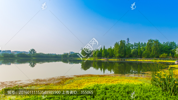 雙流濕地公園