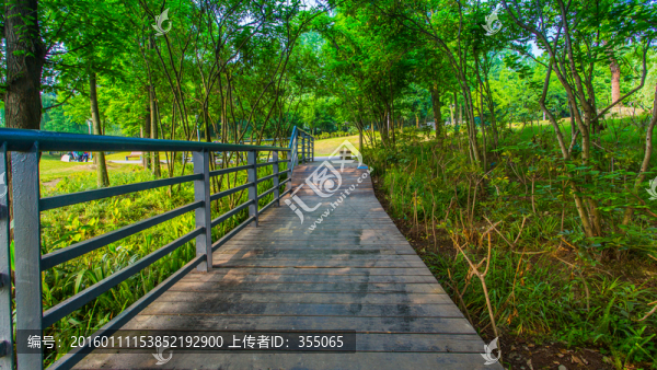 雙流濕地公園