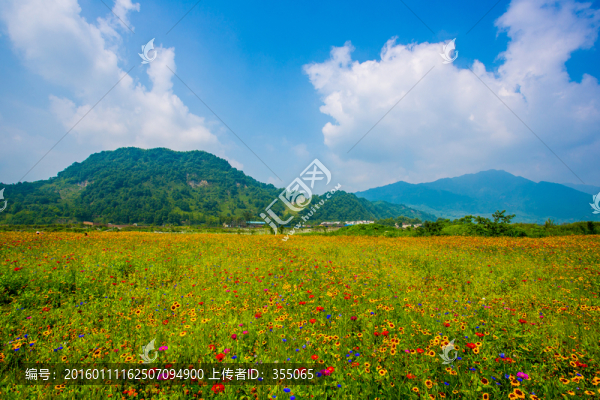 彭州花海