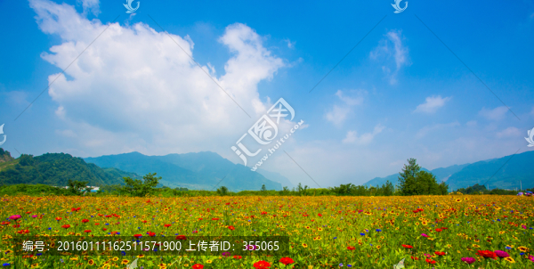 彭州花海