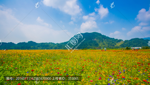 彭州花海