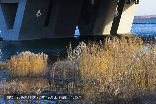 湖