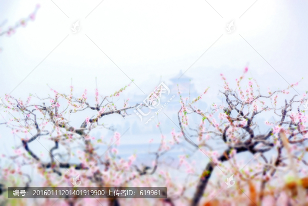 花卉裝飾畫(huà),桃花枝