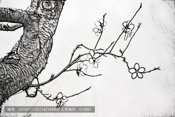 花卉裝飾畫,桃花枝