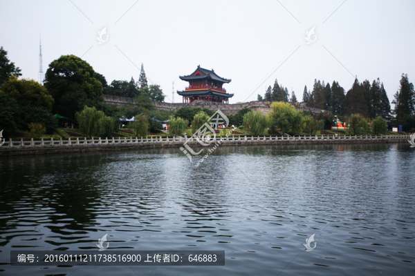 湖水,柳樹,公園景觀