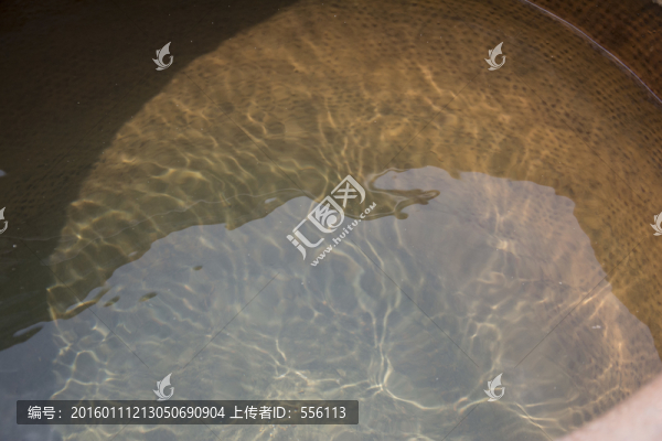 水波