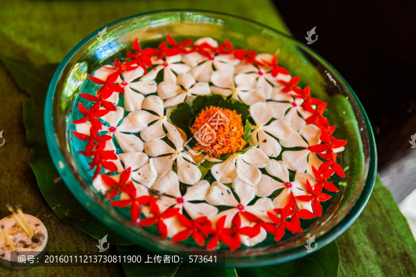 裝飾花壇
