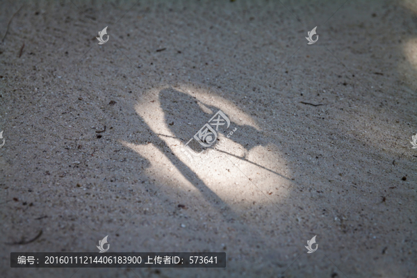 沙灘影子,光影