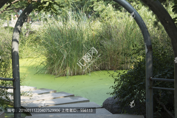公園一景